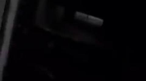 PEOPLE OF THE WORLD HAVE JOINED THE WAR AGAINST ISRAEL