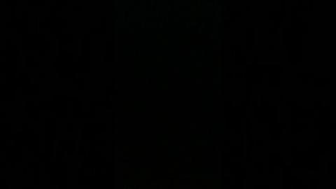 By Now We Should know The Basis of love isn’t real.