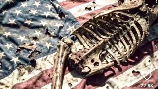 Israel - the Parasite that has taken over its Host