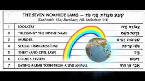 The Goyim's Guide To Chabad 7 NOAHIDE LAWS