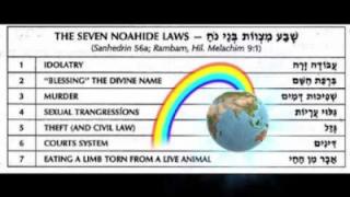 The Goyim's Guide To Chabad 7 NOAHIDE LAWS
