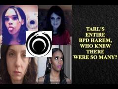 Styxhexenhammer666 Harem of Beauties, This Guy's Been Busy! Comedy GOLD!