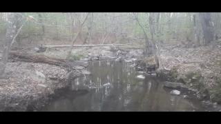 Lockout Part 75 - Mgtow