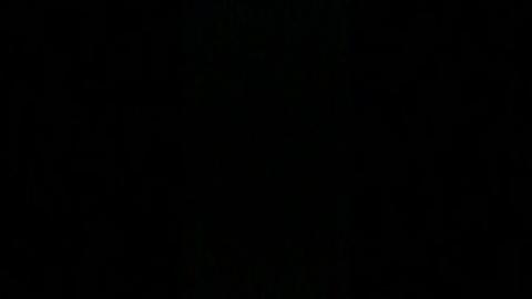 Cognitive Dissonance.