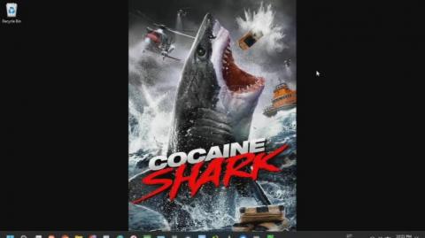Cocaine Shark Review