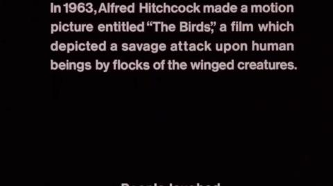 Attack of the Killer Tomatoes