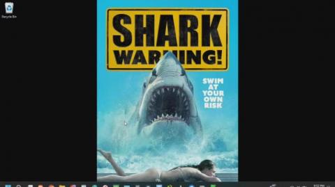 Shark Warning Review
