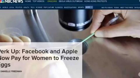 MGTOW News 2