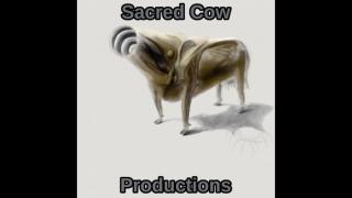 And Art Is Insight Into Parrots