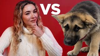 Reality is always more brutal than it appears.