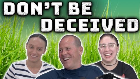 The Truth About False Prophets in Today’s World