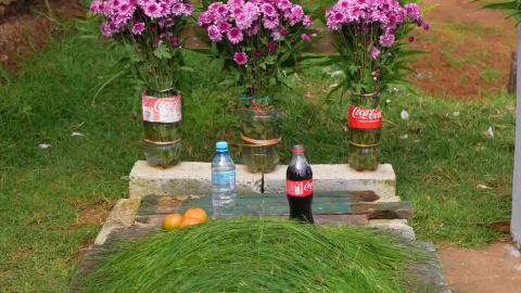 I Investigated Mexico’s Deadly Coca-Cola Addiction