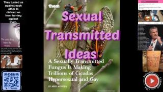 Sexual transmitted ideas