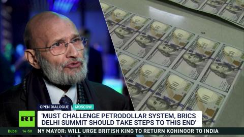 'Petrodollar needs to be pegged down' — economist Santosh Mehrotra