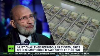 'Petrodollar needs to be pegged down' — economist Santosh Mehrotra