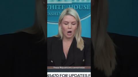 Karoline Leavitt calls out Democrats' rhetoric after White House Correspondents' Dinner Shooting