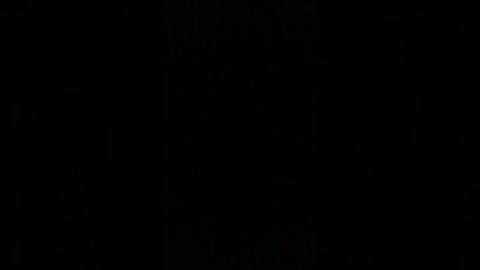 Decent Men Are only Boring for this reason!