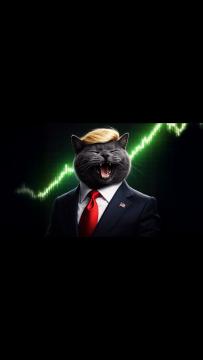 When a cat decides to day trade futures