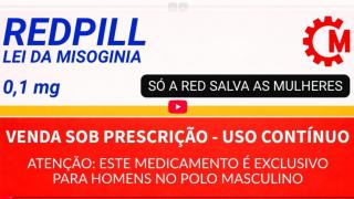 Lei da Misoginia Só a Redpill Salva as Mulheres!