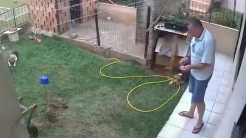 Fuel and Ants Nest - Awesome