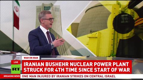 Attack on Bushehr Nuclear Power Plant in Iran 'is madness' — author, expert of terrorism