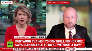 'This is just how Americans are wired' — Matt Weinglass