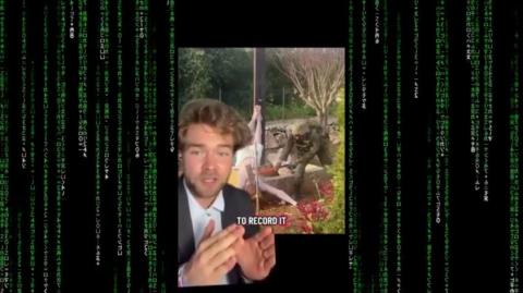 YOUR AMERICAN TAX DOLLARS ARE FUNDING DIRTY WARMONGERING JEWS WHO SMASH JESUS STAUE HEADS