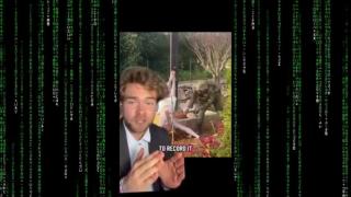 YOUR AMERICAN TAX DOLLARS ARE FUNDING DIRTY WARMONGERING JEWS WHO SMASH JESUS STAUE HEADS