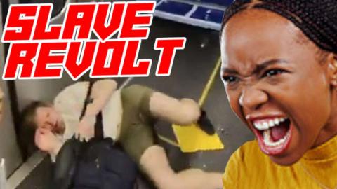 Black People Attack Whites on Train Over Their Ancestor's Slavery