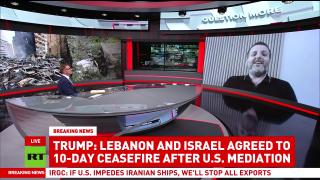Lebanon ceasefire caused by intl pressure, not by Israeli-Lebanese govt deal — Mohammed Shamsedeen