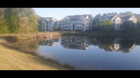 Self Inflicted Part 64 - Mgtow