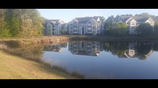 Self Inflicted Part 64 - Mgtow