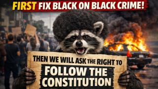 Black On Black Crime Isn't High Enough.....