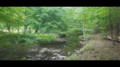 Snares and Traps Part 29 - Mgtow