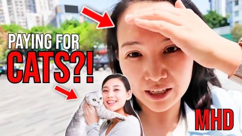 She Pays to Pet Cats Instead of Dating (The Future Is Here)