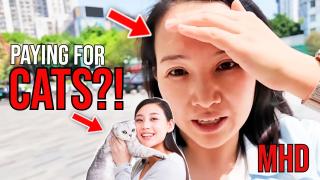 She Pays to Pet Cats Instead of Dating (The Future Is Here)