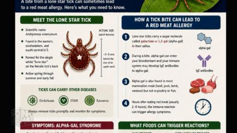 ⚠️The WEF / UN Just Confessed To Committing MASSIVE Biological Weapons Crimes Against Humanity!