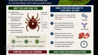 ⚠️The WEF / UN Just Confessed To Committing MASSIVE Biological Weapons Crimes Against Humanity!