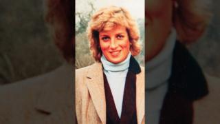 What happened to Princess Diana, and Why?