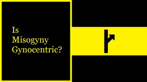 Why Misogyny is Gynocentric.
