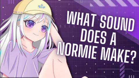 O PATÉTICO MUNDO DOS NORMIES!