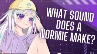 O PATÉTICO MUNDO DOS NORMIES!