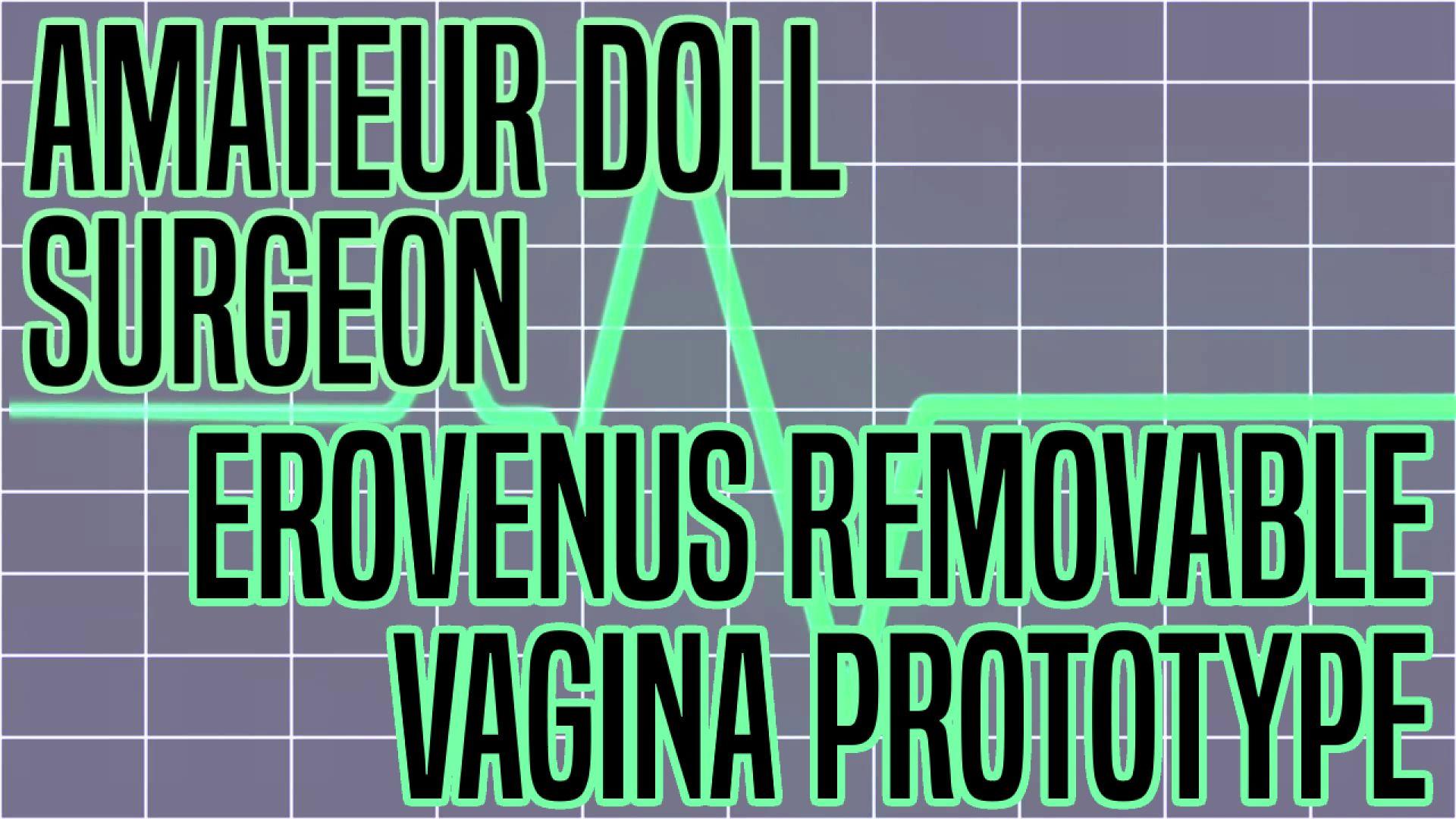 Amateur Doll Surgeon: Erovenus Removable Vagina Prototype