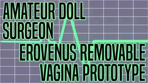 Amateur Doll Surgeon: Erovenus Removable Vagina Prototype