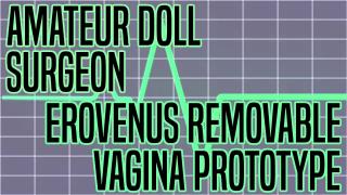 Amateur Doll Surgeon: Erovenus Removable Vagina Prototype