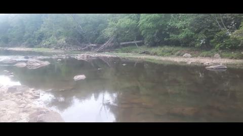 Self Inflicted Part 65 - Mgtow