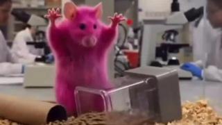 Scientific Research Proves Once Again