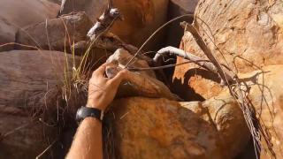 Surviving The Australian Outback (TROUBLE IN PARADISE!)