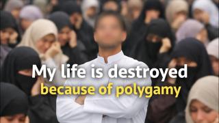 The Trauma of Polygamy Fallacy