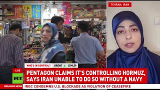 Only Iran can guarantee stability in the Strait of Hormuz — Elham Abedini